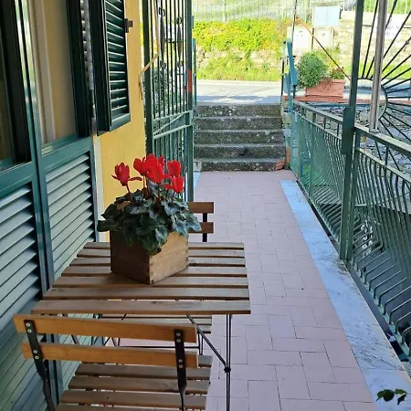 Aaut Il Noce Codice Citra 010029-lt-0025 Casa vacanze *