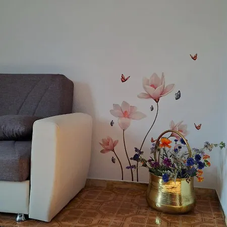 Aaut Il Noce Codice Citra 010029-lt-0025 * Leivi