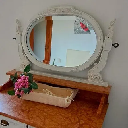 Aaut Il Noce Codice Citra 010029-lt-0025 * Leivi