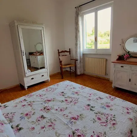 Aaut Il Noce Codice Citra 010029-lt-0025