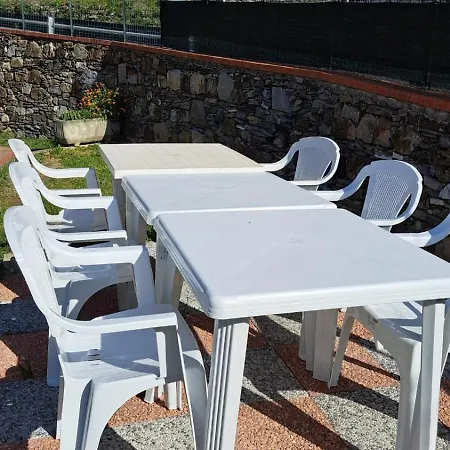 Aaut Il Noce Codice Citra 010029-lt-0025 Leivi