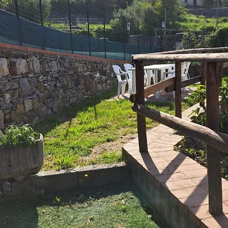 Aaut Il Noce Codice Citra 010029-lt-0025 Leivi